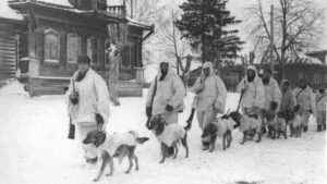 honden ww2